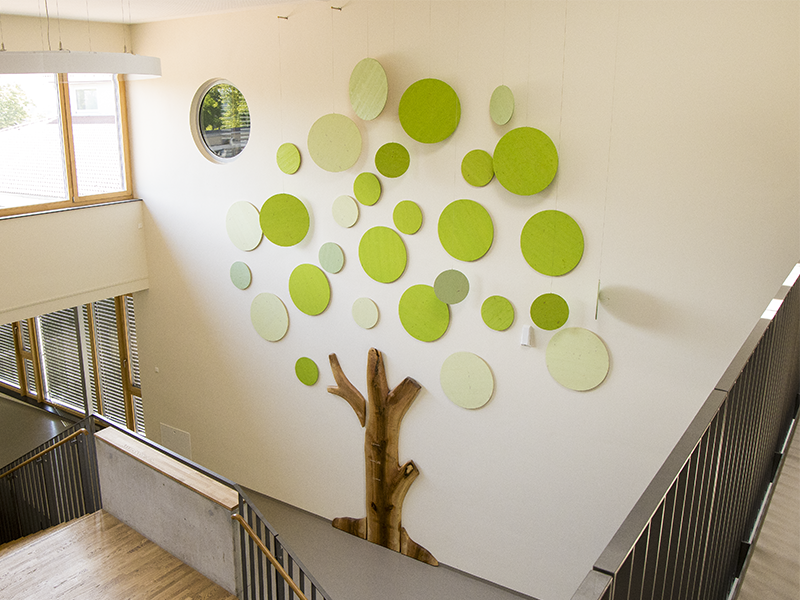 Baum in der Grundschule Aulendorf